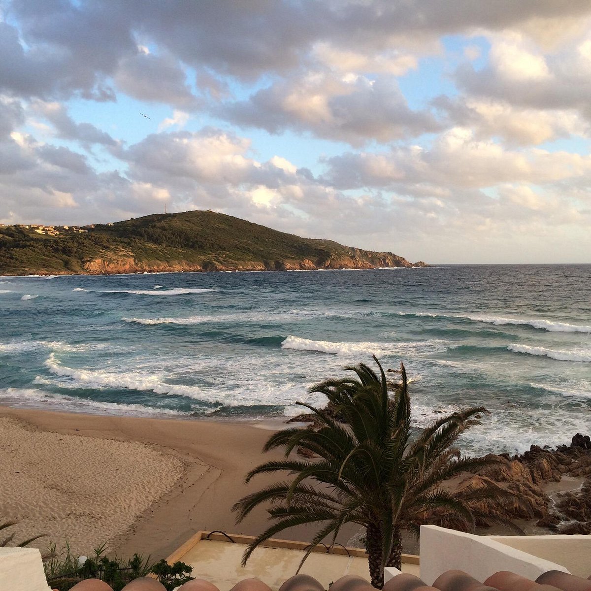 tripadvisor.fr